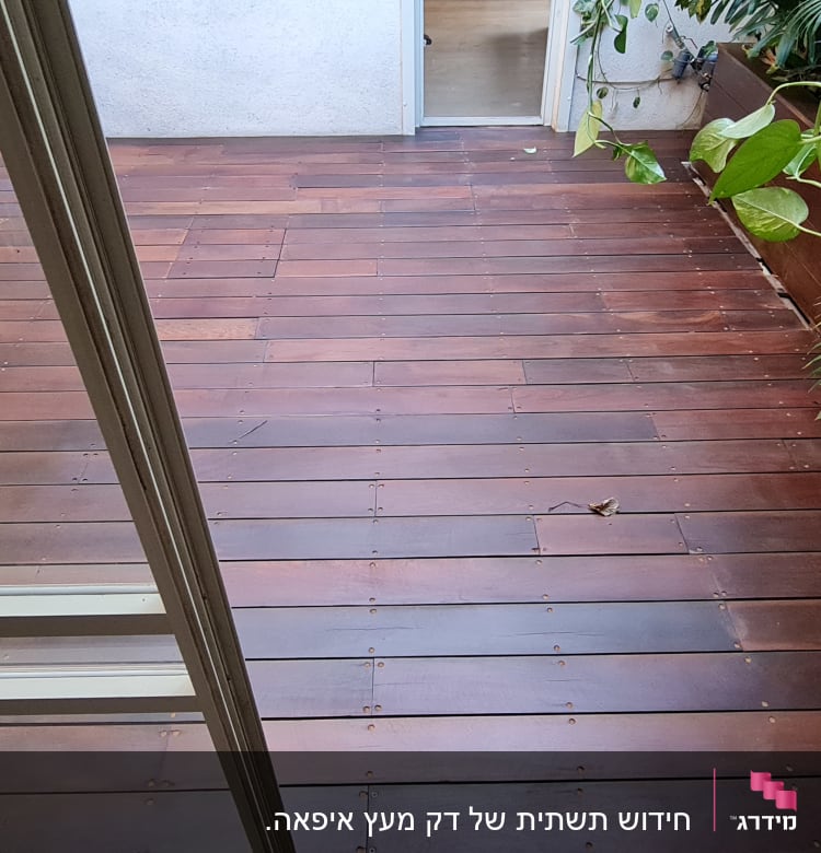 רצפת עץ עם צמחים ירוקים בצד ימין